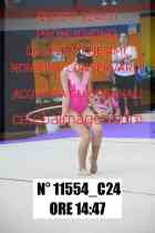 11554_C24