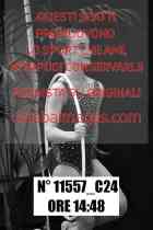11557_C24