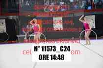 11573_C24