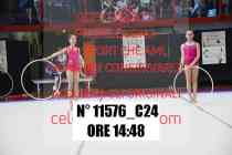 11576_C24