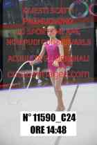 11590_C24