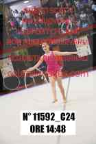 11592_C24