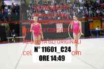11601_C24