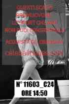 11603_C24
