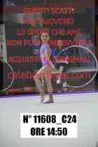 11608_C24