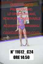 11612_C24