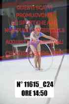 11615_C24
