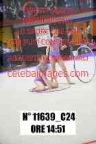 11639_C24