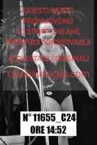 11655_C24