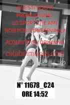 11678_C24