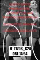 11708_C24