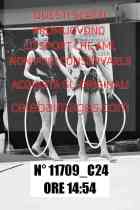11709_C24