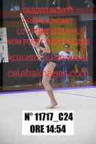 11717_C24
