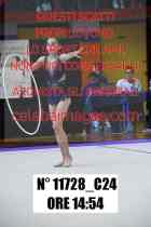 11728_C24