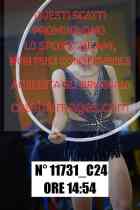 11731_C24