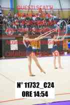 11732_C24