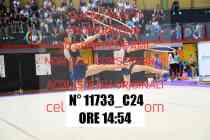 11733_C24