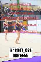 11737_C24