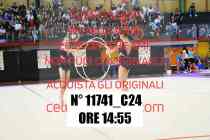 11741_C24