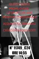 11749_C24