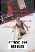 11752_C24