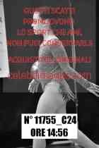 11755_C24