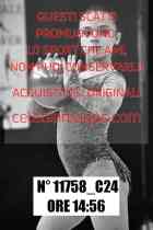 11758_C24
