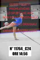 11764_C24