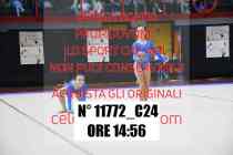 11772_C24