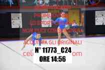 11773_C24