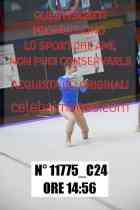 11775_C24
