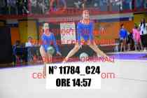 11784_C24