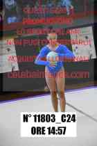 11803_C24