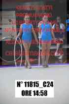 11815_C24