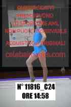 11816_C24