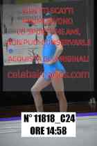 11818_C24