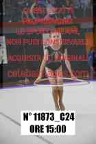 11873_C24