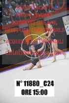 11880_C24