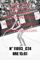 11893_C24