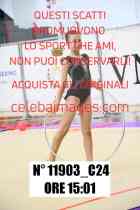 11903_C24