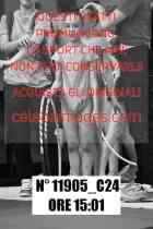 11905_C24