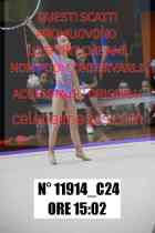 11914_C24
