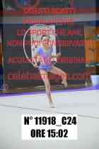 11918_C24
