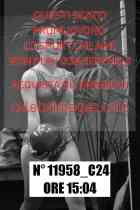 11958_C24