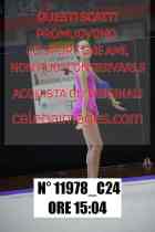 11978_C24