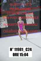 11981_C24