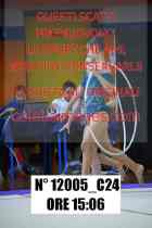 12005_C24