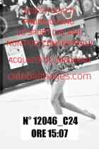 12046_C24