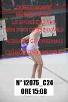 12075_C24