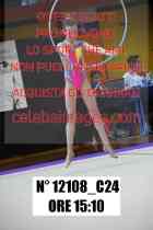 12108_C24